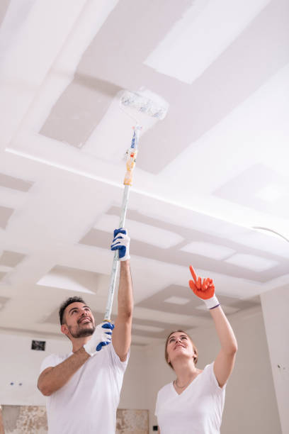 Best Ceiling Drywall Installation  in Four Bridges, OH